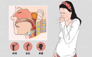 最佳促排卵时机解析：科学助孕关键点